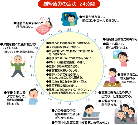 副腎疲労の症状　24時間