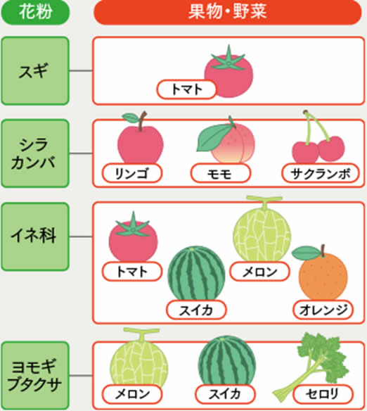 花粉-食物アレルギー症候群:PFAS (pollen-food allergy syndrome)