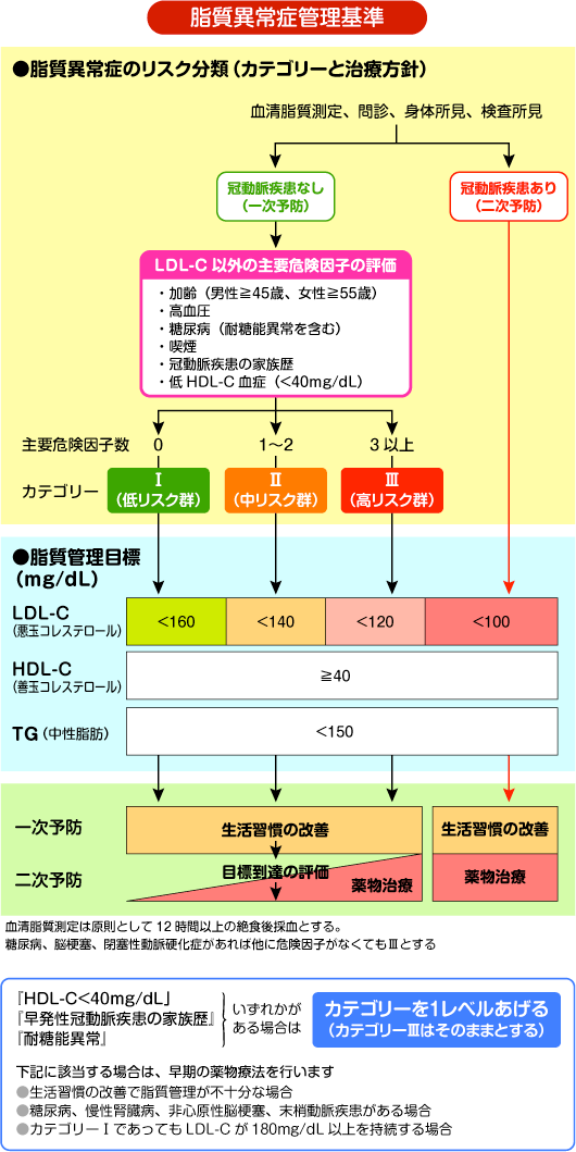 脂質異常症のリスク分類と治療方針