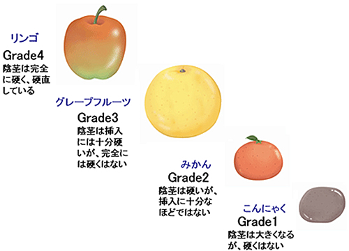 EHS日本語版における硬さイメージ 