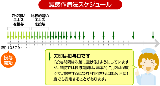 図版：減感作療法のスケジュール