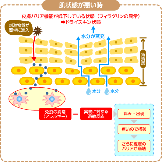 肌状態が悪い時