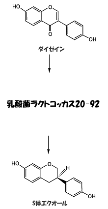 ダイゼイン・ラクトコッカス20-92・S体エクオール