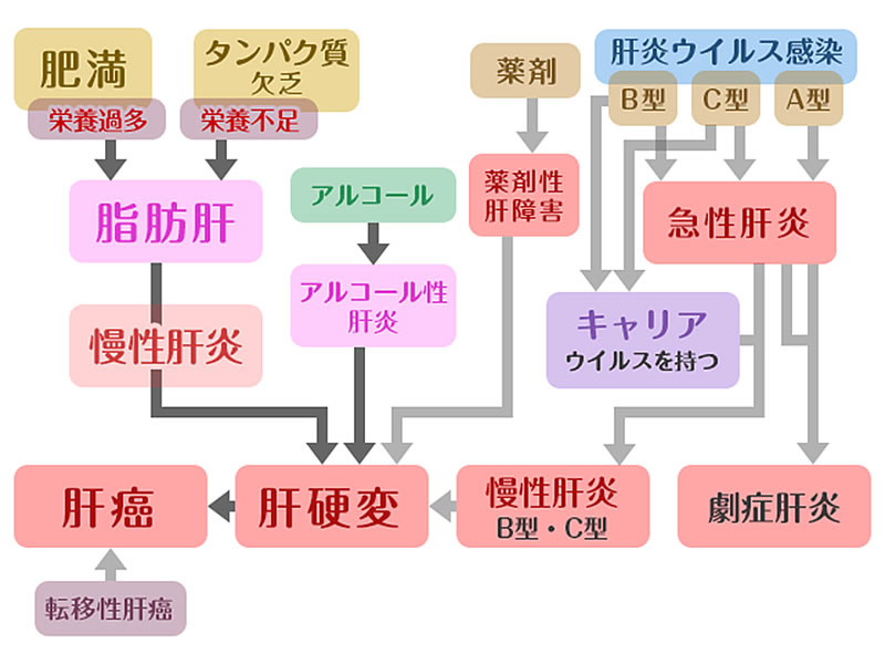 ゼニカル・オルリファスト