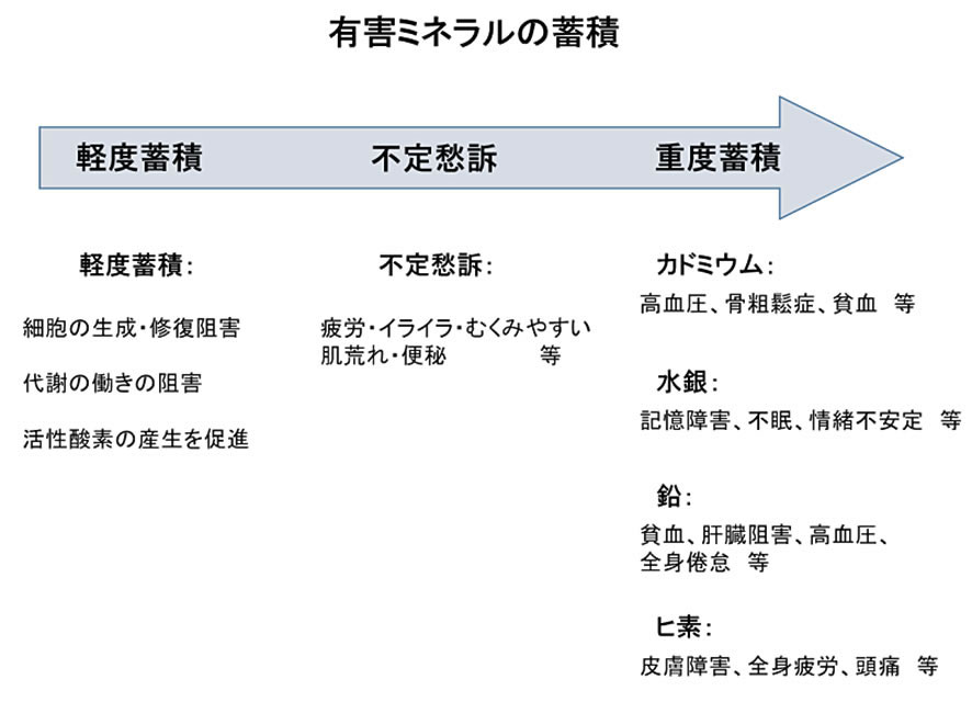 有害ミネラルの蓄積