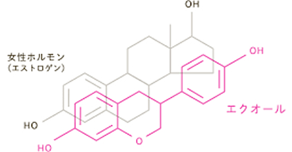 エクエル（大塚製薬）