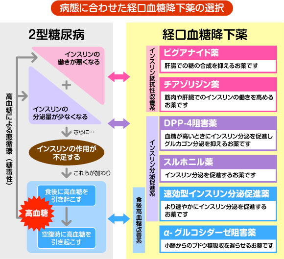 病態に合わせた経口血糖降下薬の選択