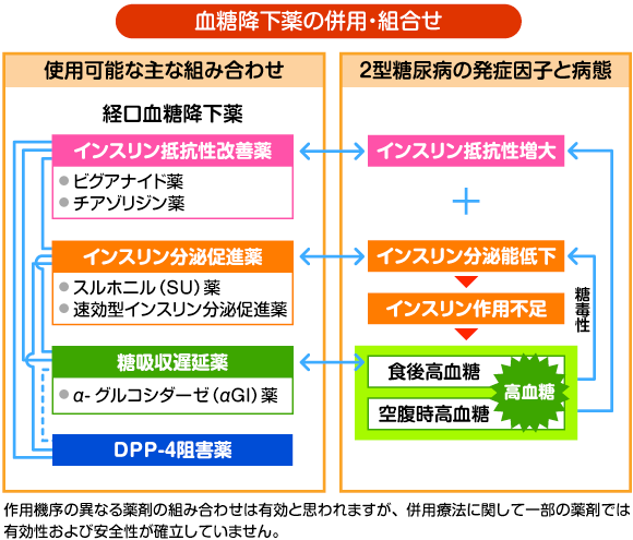 血糖降下薬の併用・組合せ