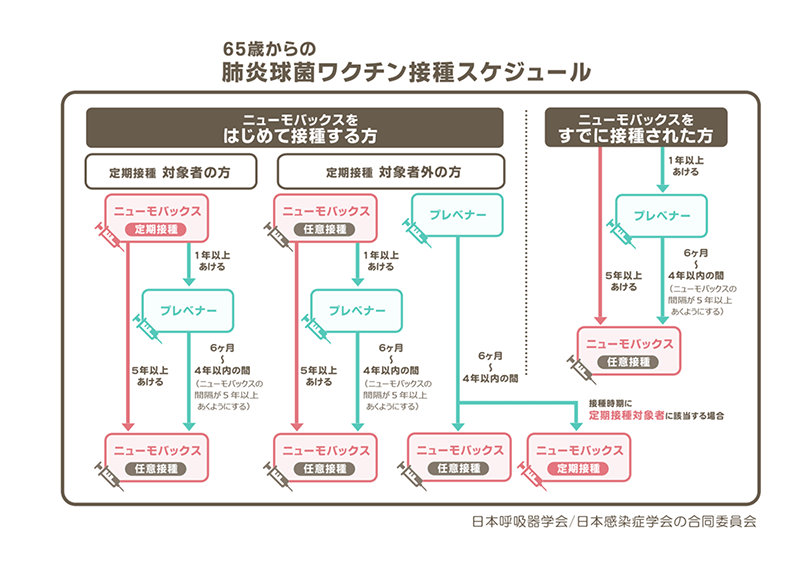 肺炎球菌ワクチン接種スケジュール