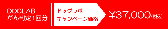ドッグラボ