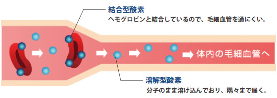結合型酸素・溶解型酸素